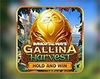Immortal Ways Gallina Harvest